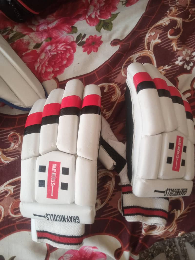 Cricket kit 13