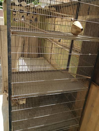 Birds cage pinjra for sale