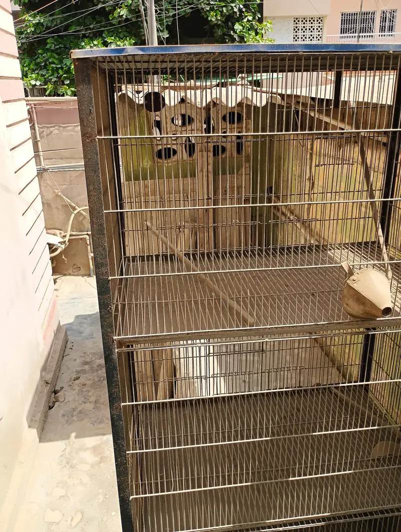 Birds cage pinjra for sale — photo 2