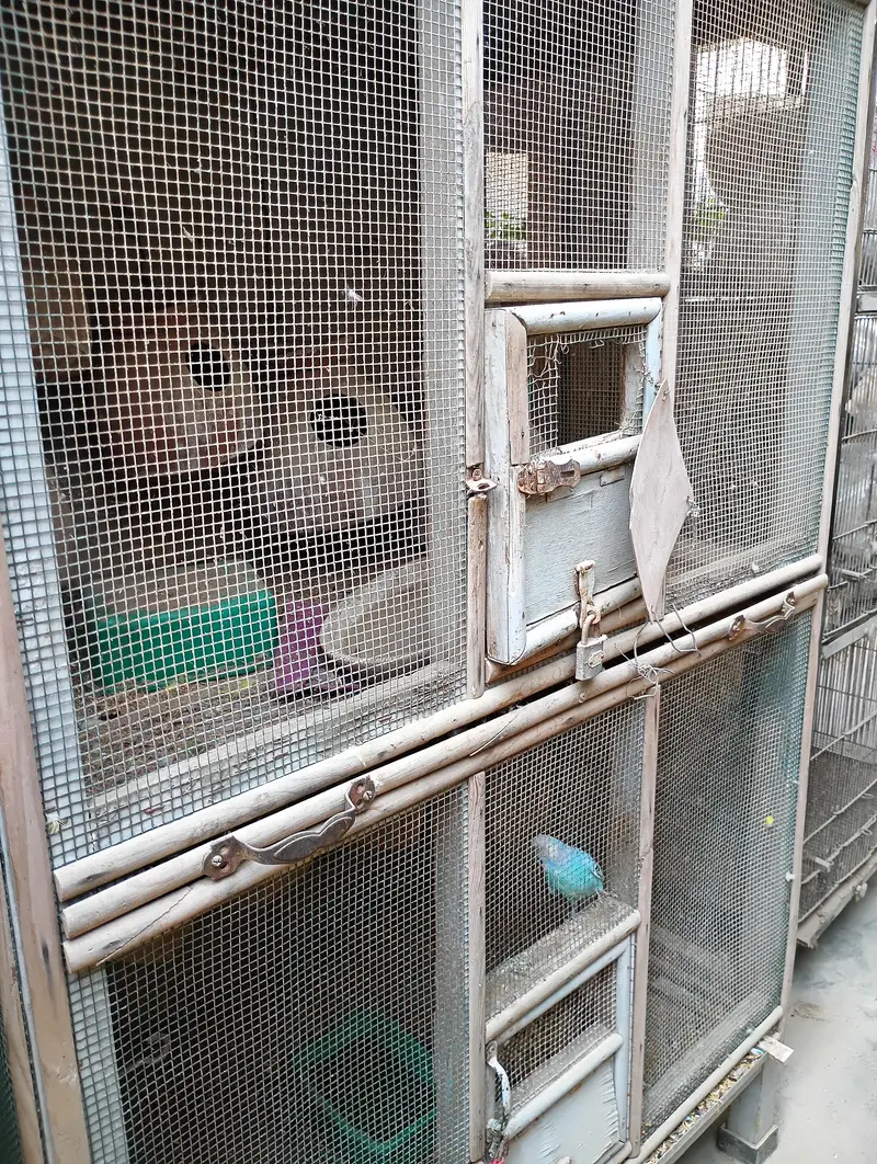 Birds cage pinjra for sale — photo 6