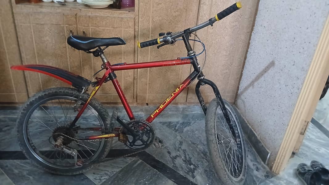 phoenix bicycle 0