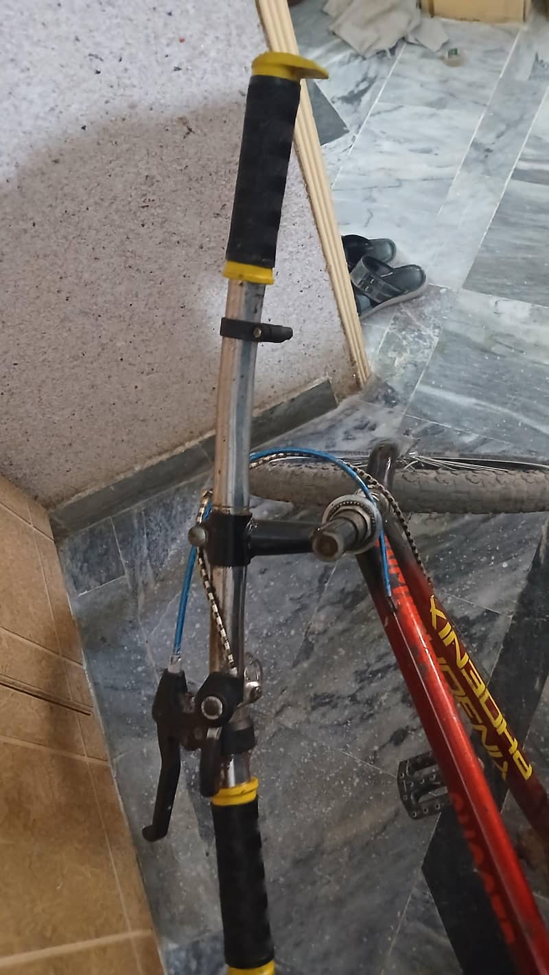 phoenix bicycle 1