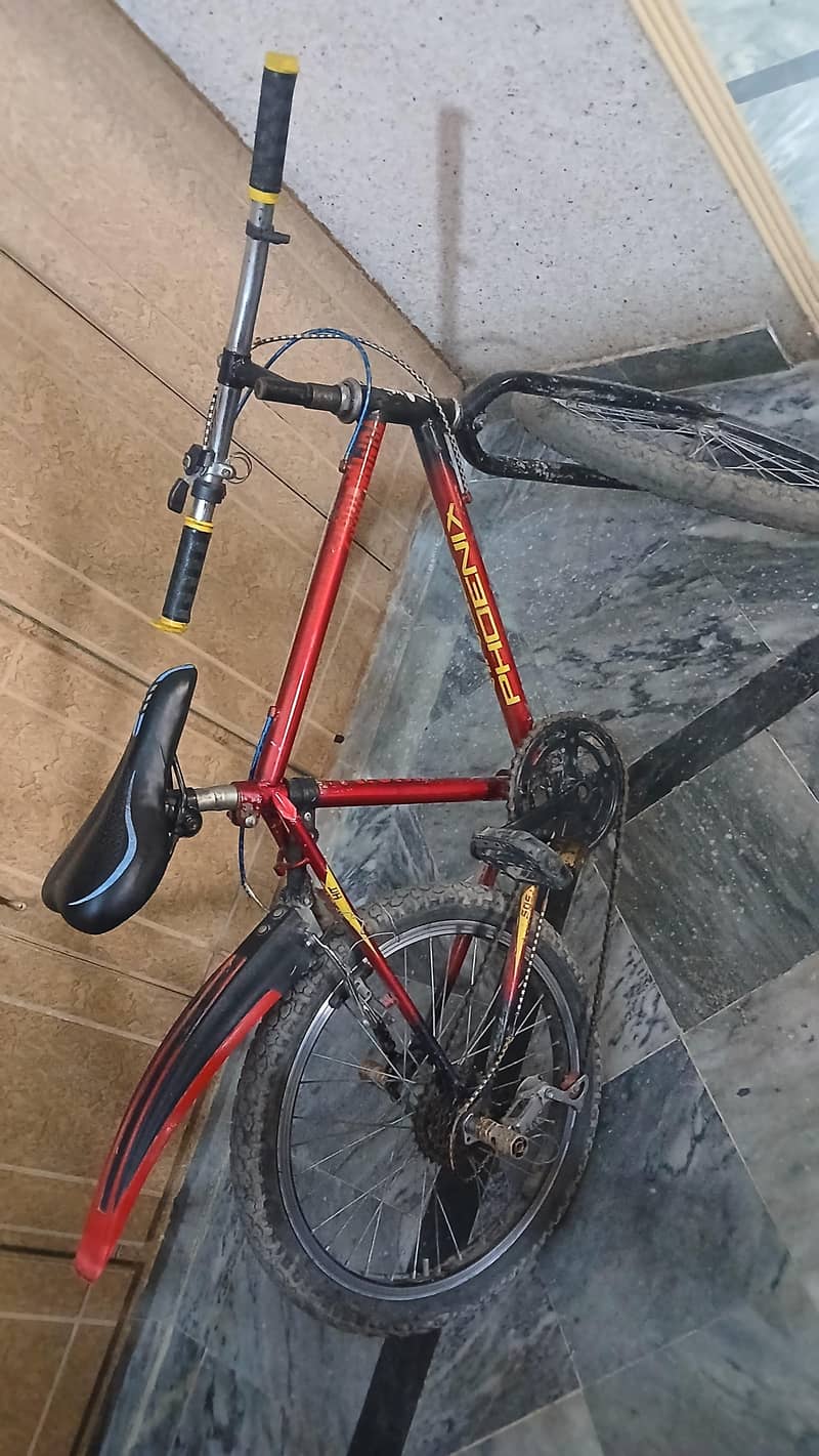 phoenix bicycle 2