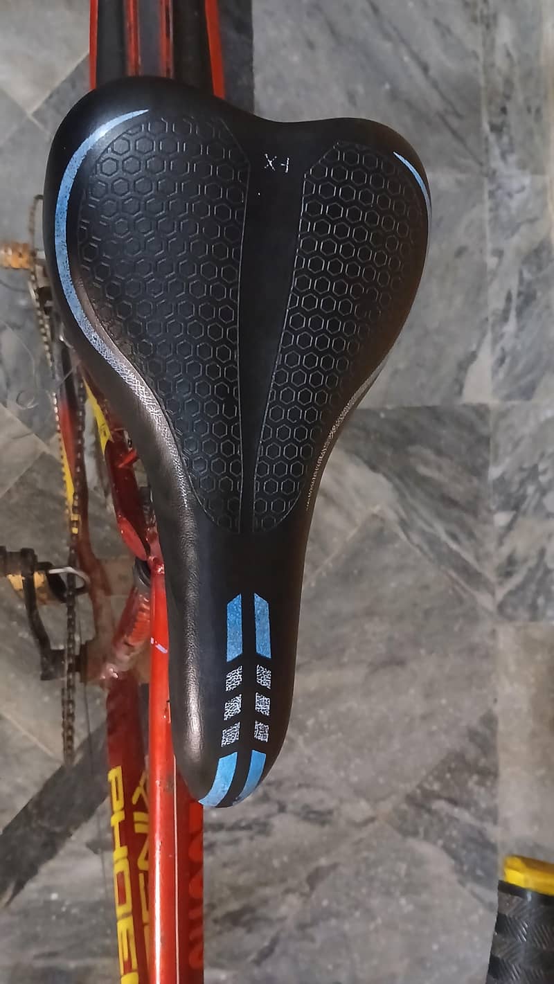 phoenix bicycle 3