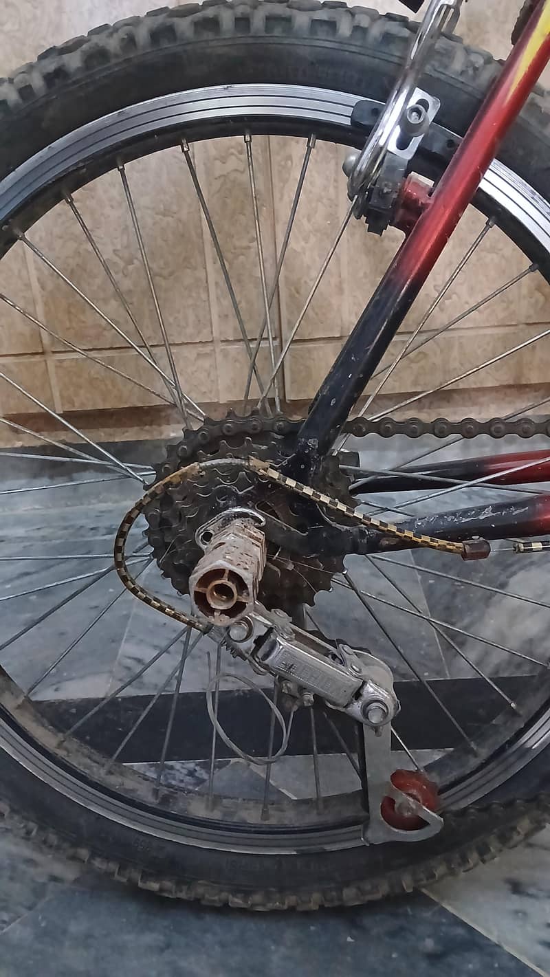 phoenix bicycle 4