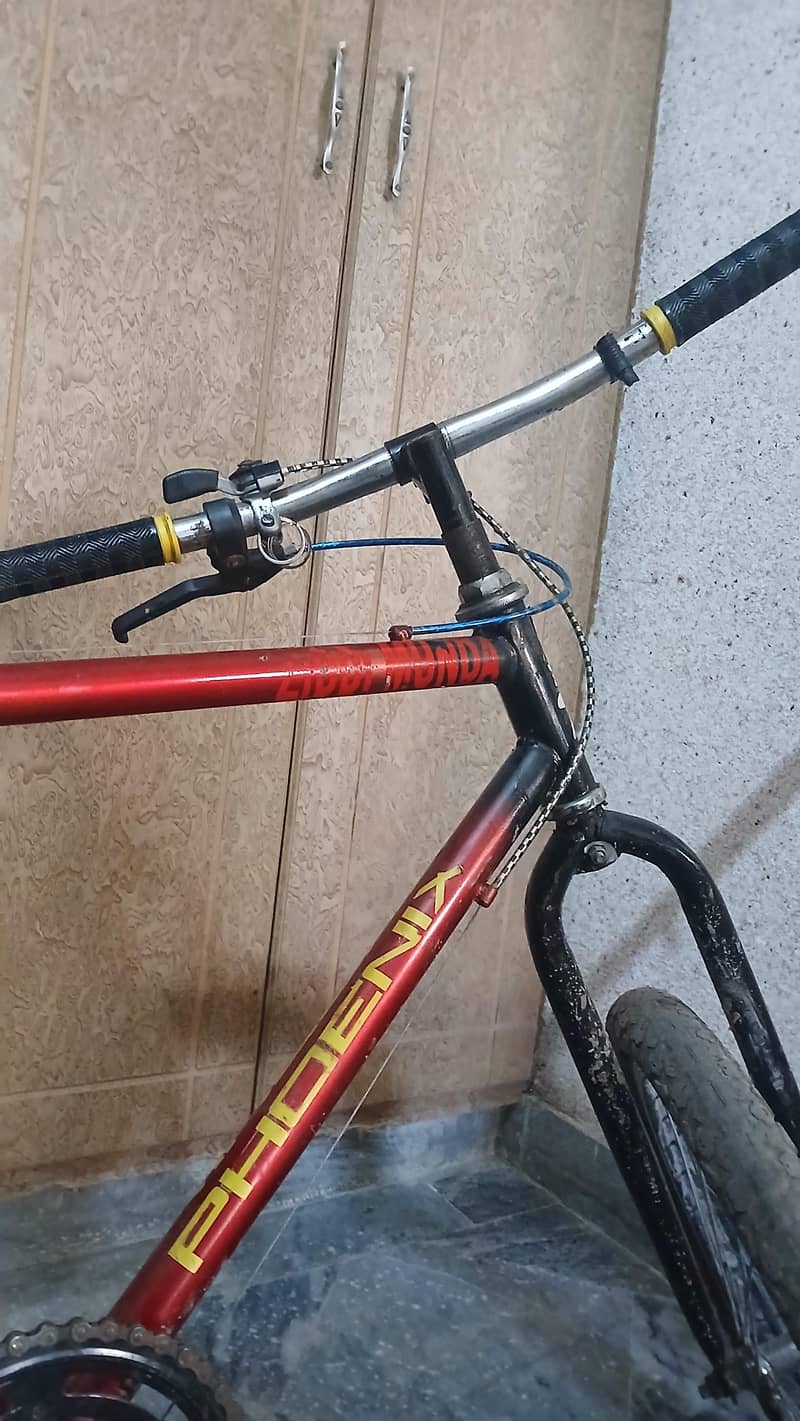phoenix bicycle 5