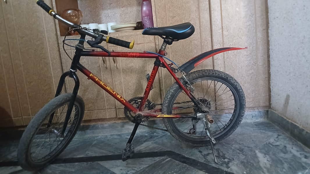phoenix bicycle 6