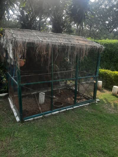 Heavy-Duty 7×6×5 ft Iron Chicken / Bird Cage for Sale
