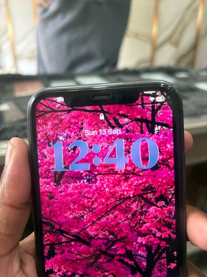 Apple iPhone 11 2
