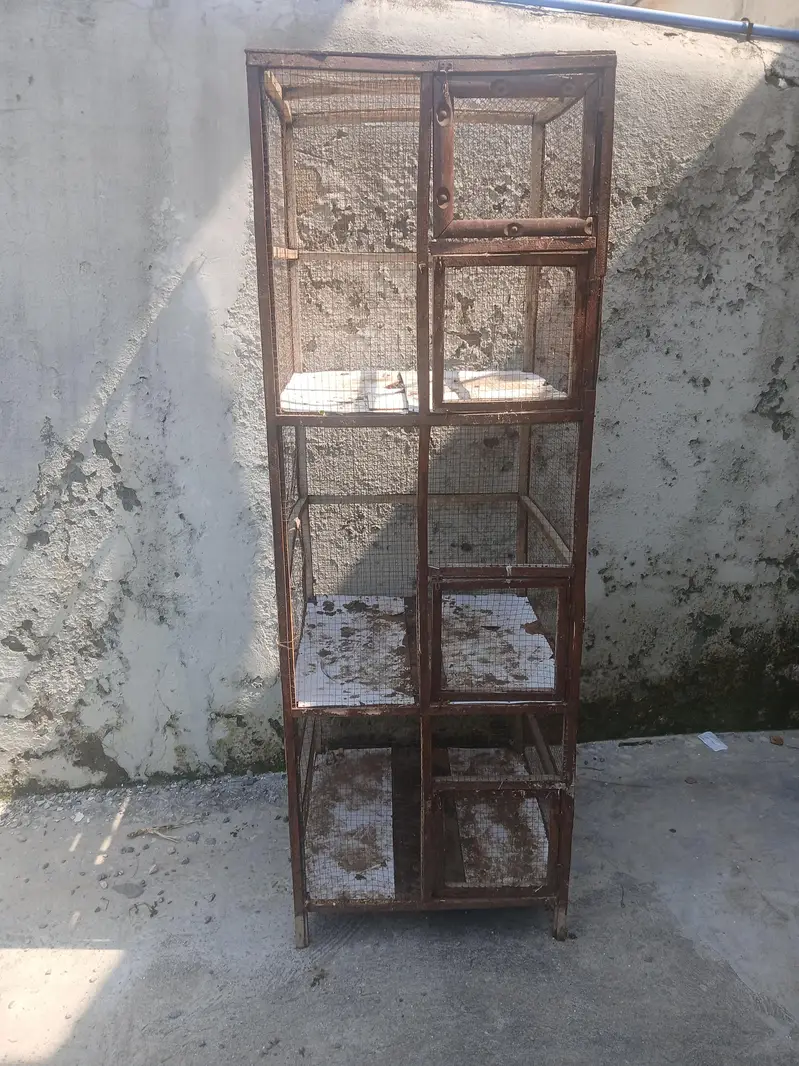 Wood cage 3 portion — photo 2