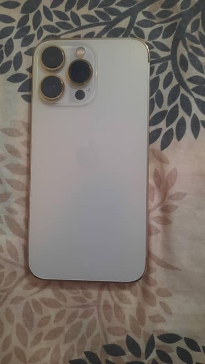 13 Pro 256GB