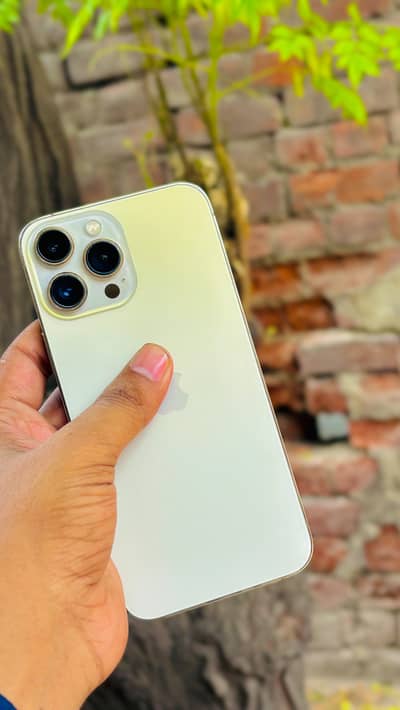 Apple iPhone 13 Pro Max factory unlocked