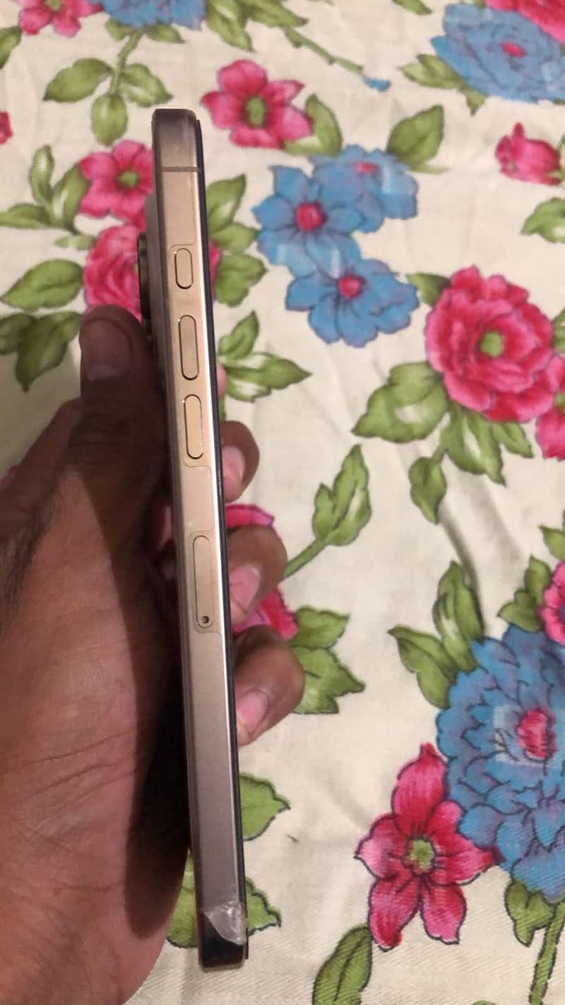 Apple iPhone 16 Pro Max 1