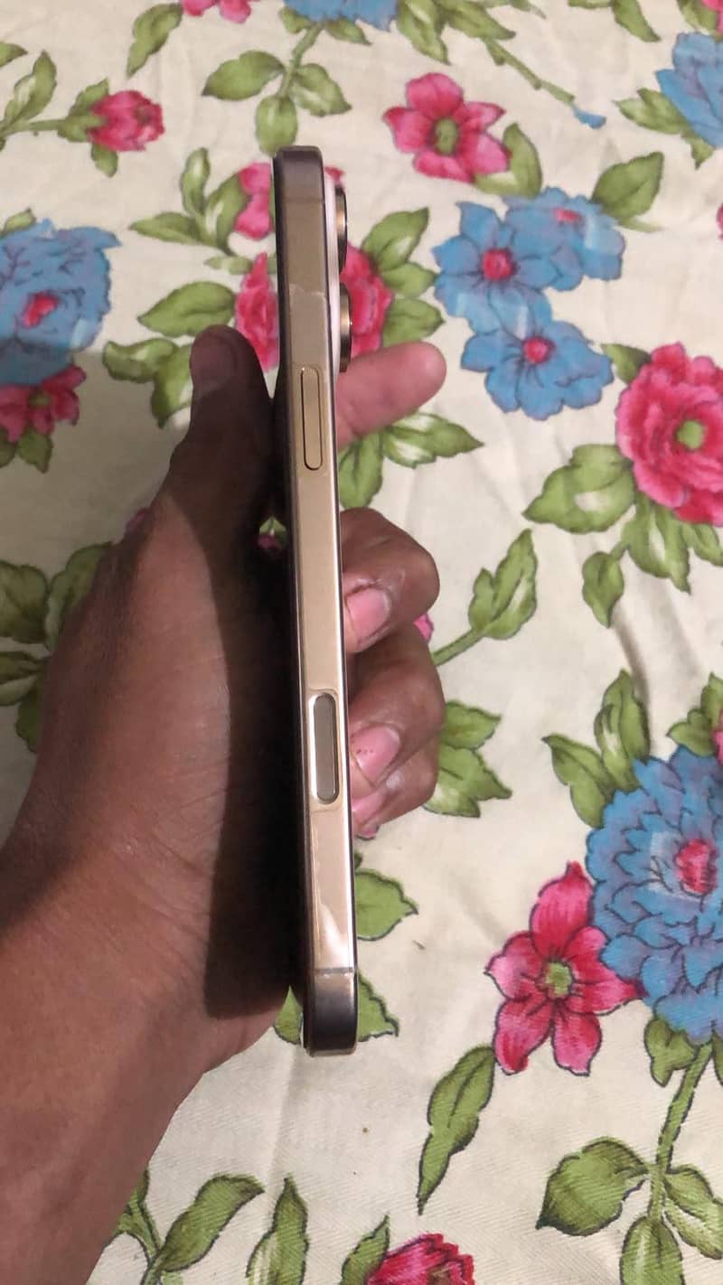 Apple iPhone 16 Pro Max 2