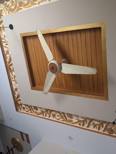Ceiling Fan