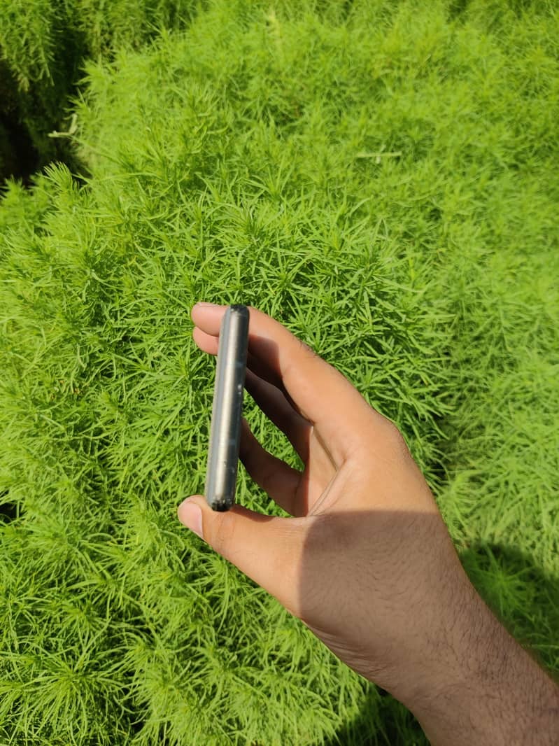 Google Pixel 6a 7