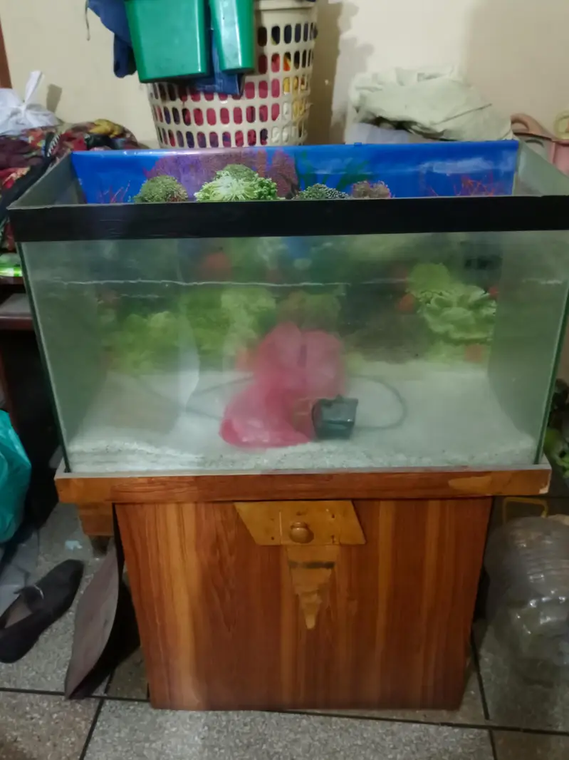 Fish Aquarium for sale — photo 3
