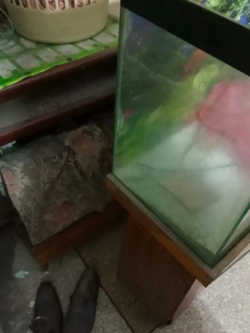 Fish Aquarium for sale — photo 6