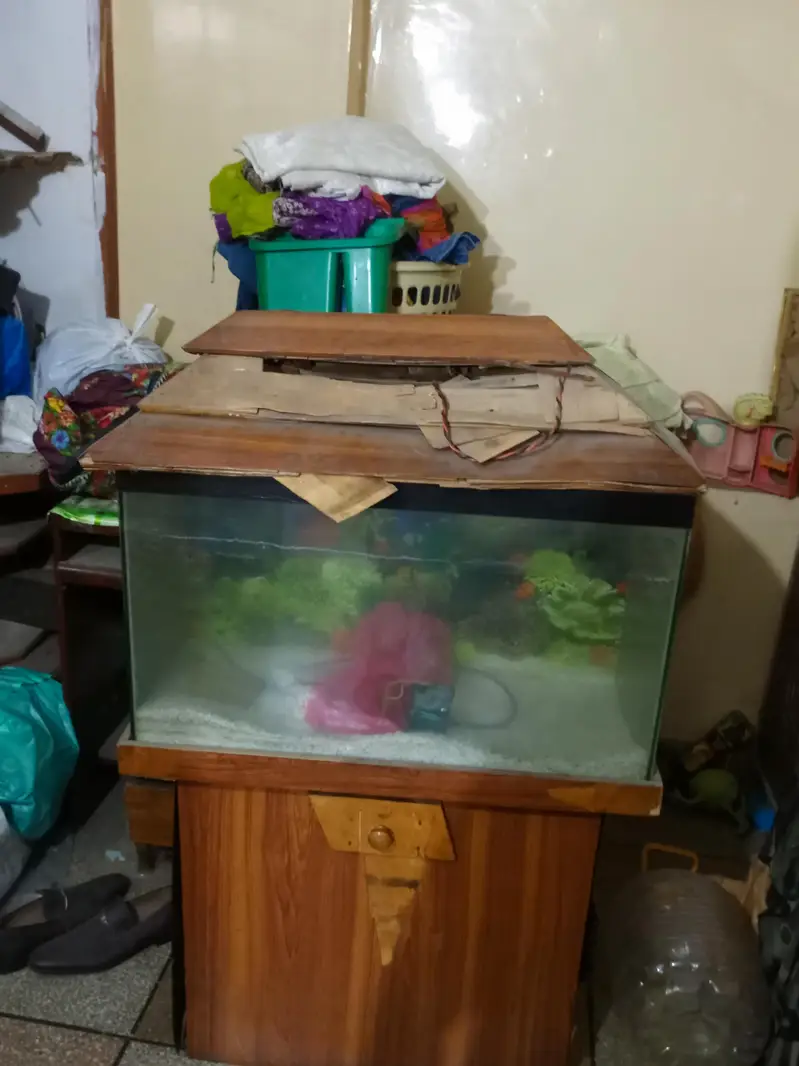 Fish Aquarium for sale — photo 7