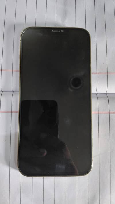 Apple iPhone 12 Pro Max