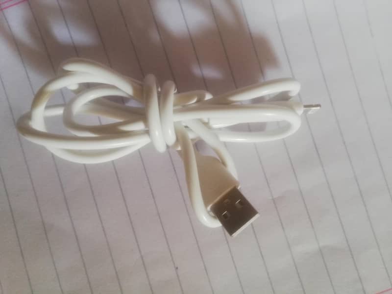 apple iphone charging cable 1