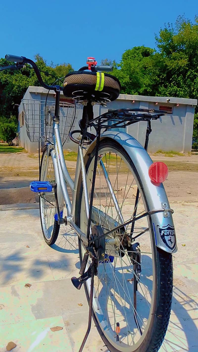 bicycle 10