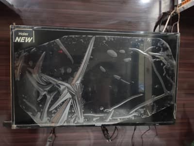 Haier 32 Inch Standard LED for Sale