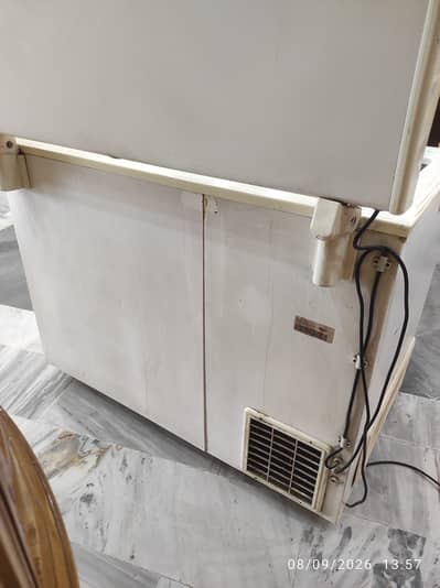 Waves Medium size Deep Freezer For sale