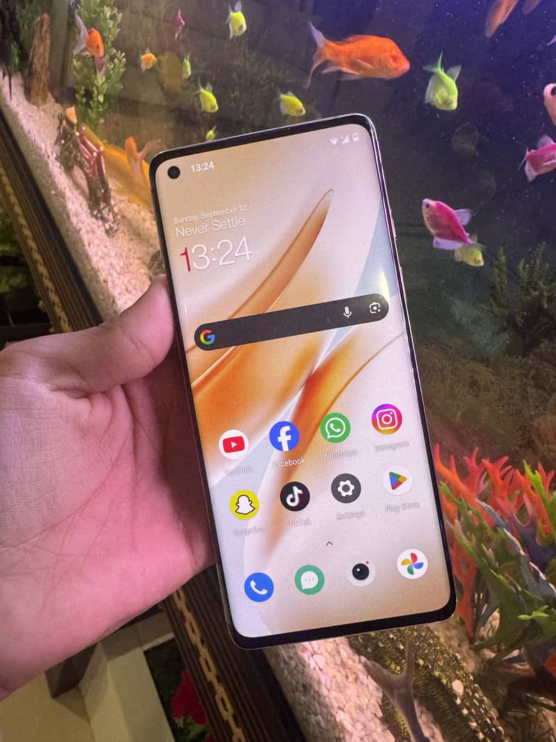 One Plus 8 3