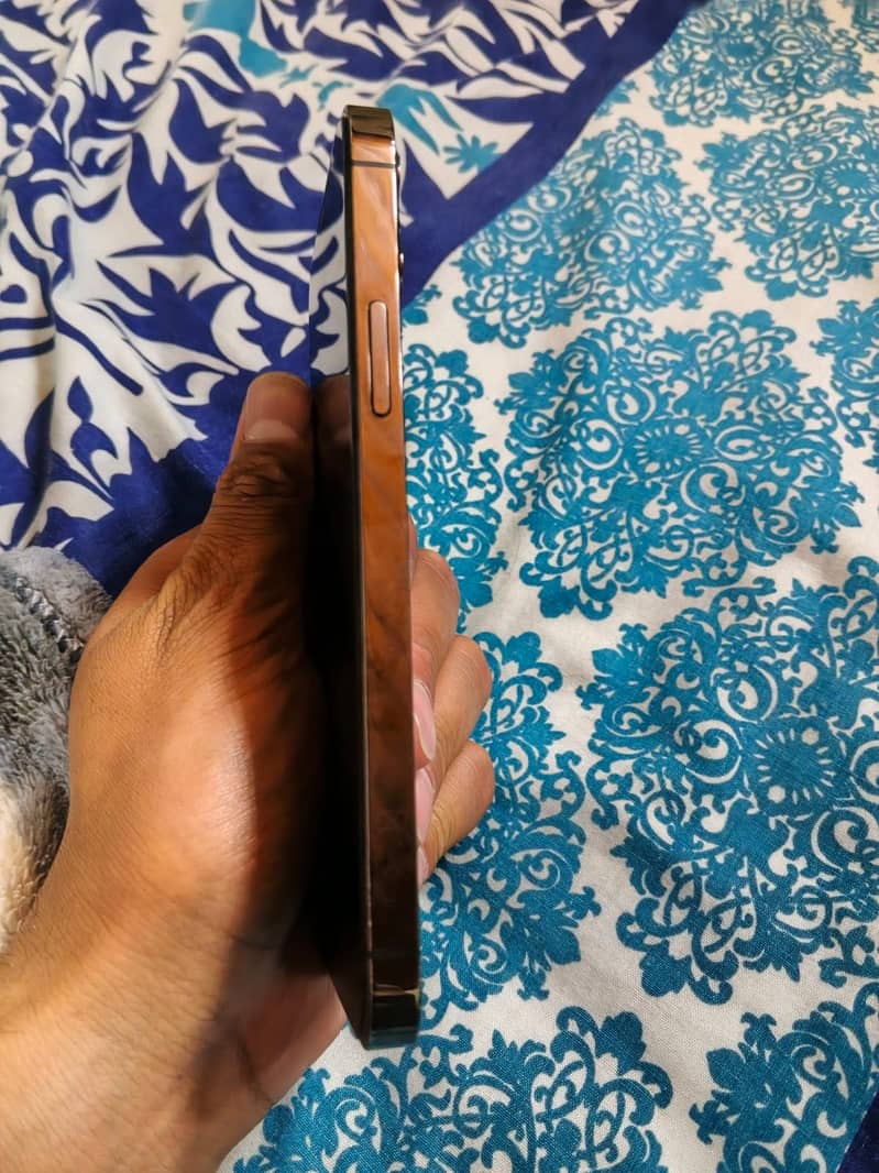 Apple iPhone 12 Pro 3