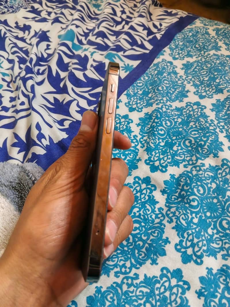 Apple iPhone 12 Pro 6