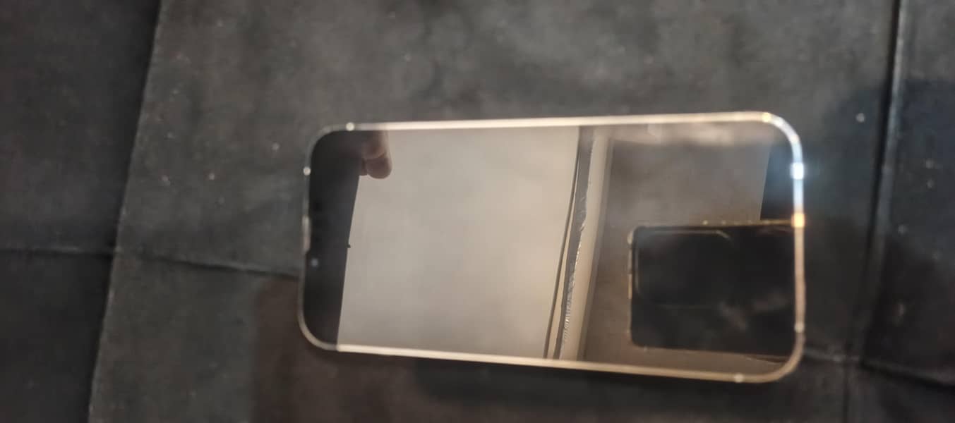 Apple iPhone 13 Pro Max 1