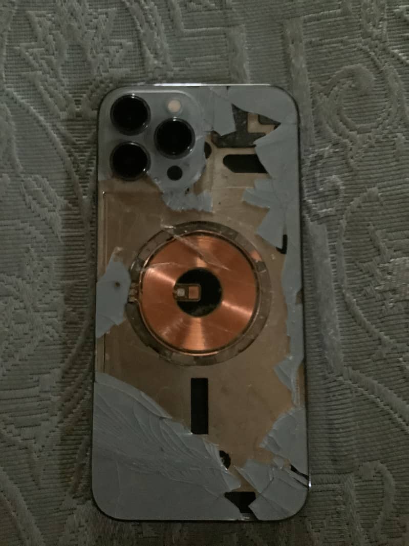 Apple iPhone 13 Pro Max 1