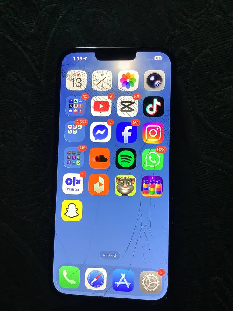 Apple iPhone 13 Pro Max 2