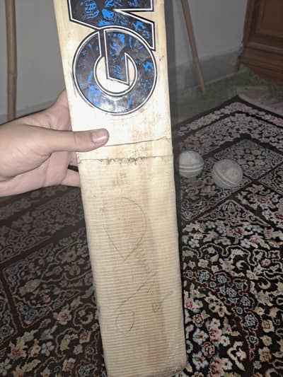 cricket ball and bat