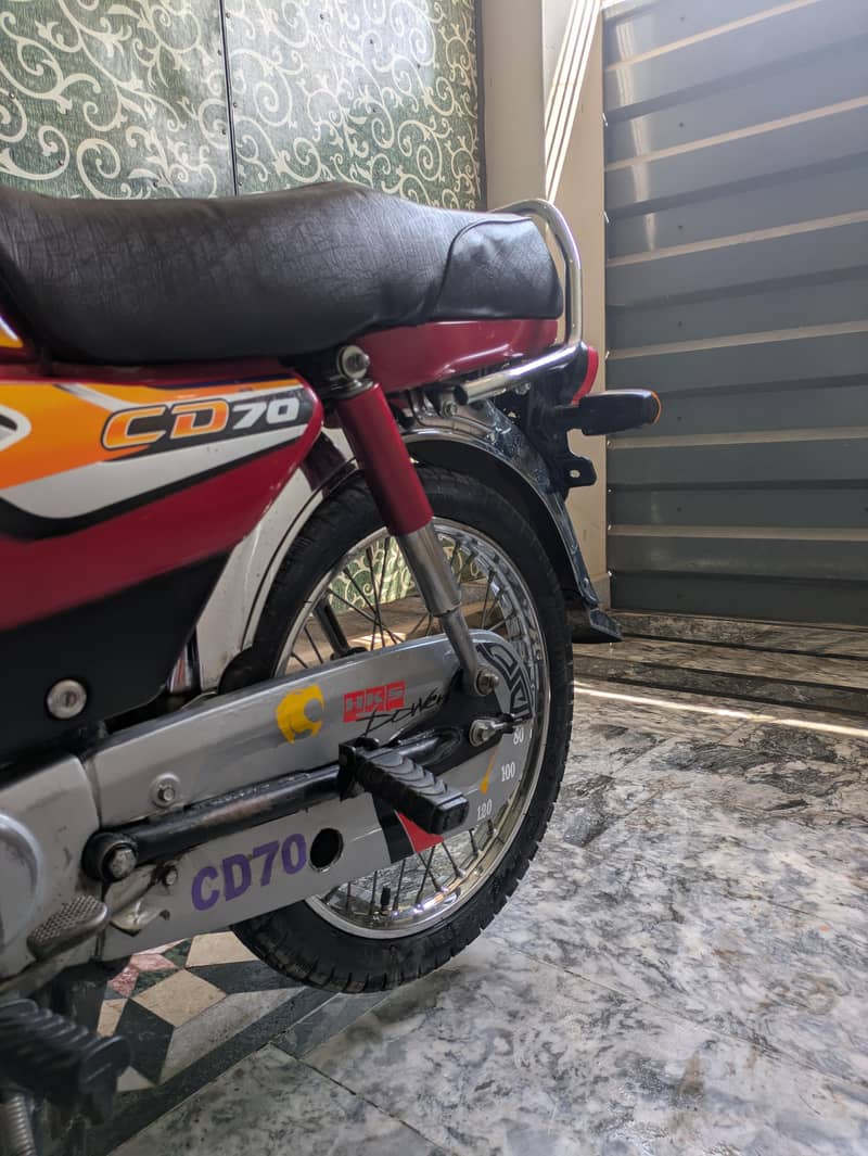 CD70 2024/2025 model 3