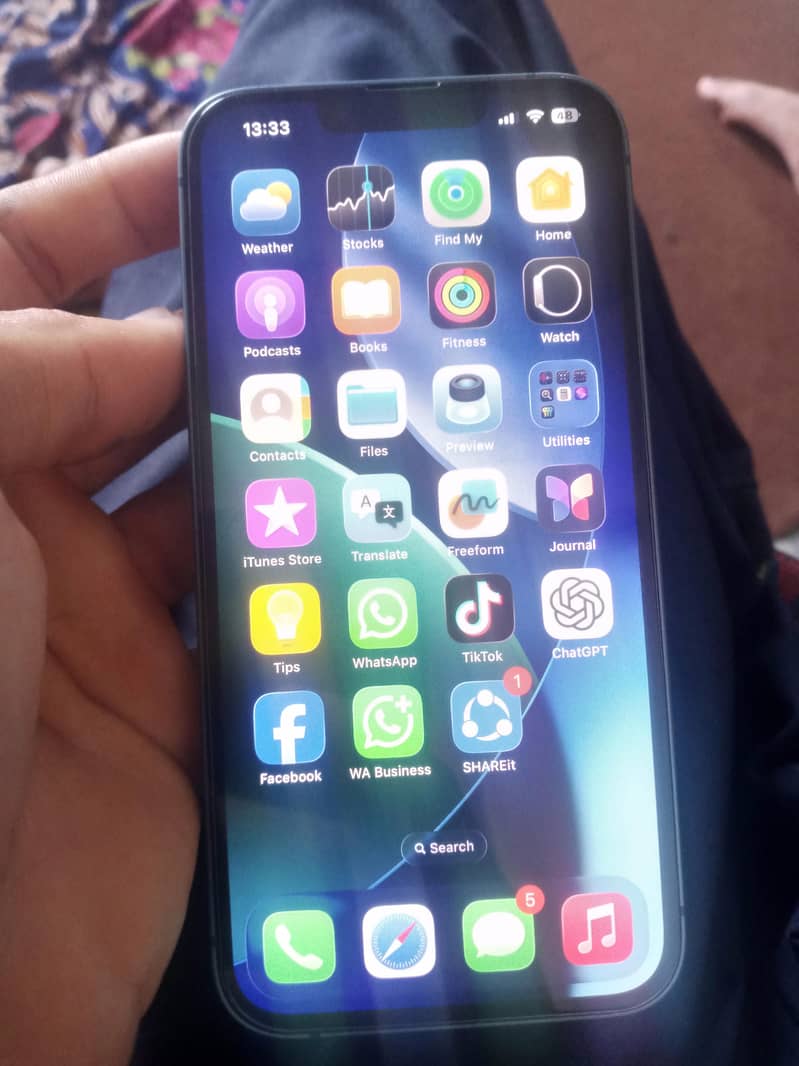Apple iPhone 13 0