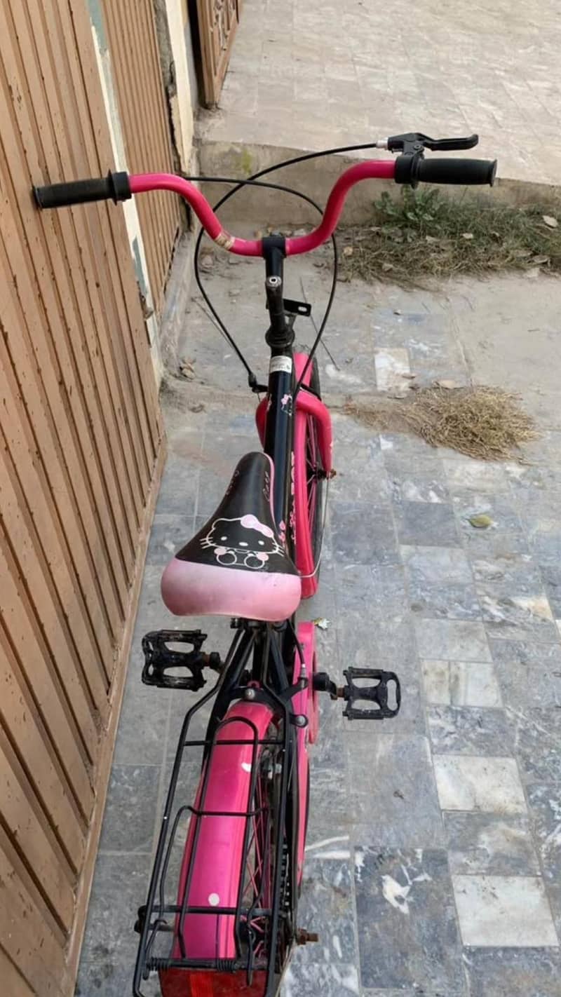 Cycle 2
