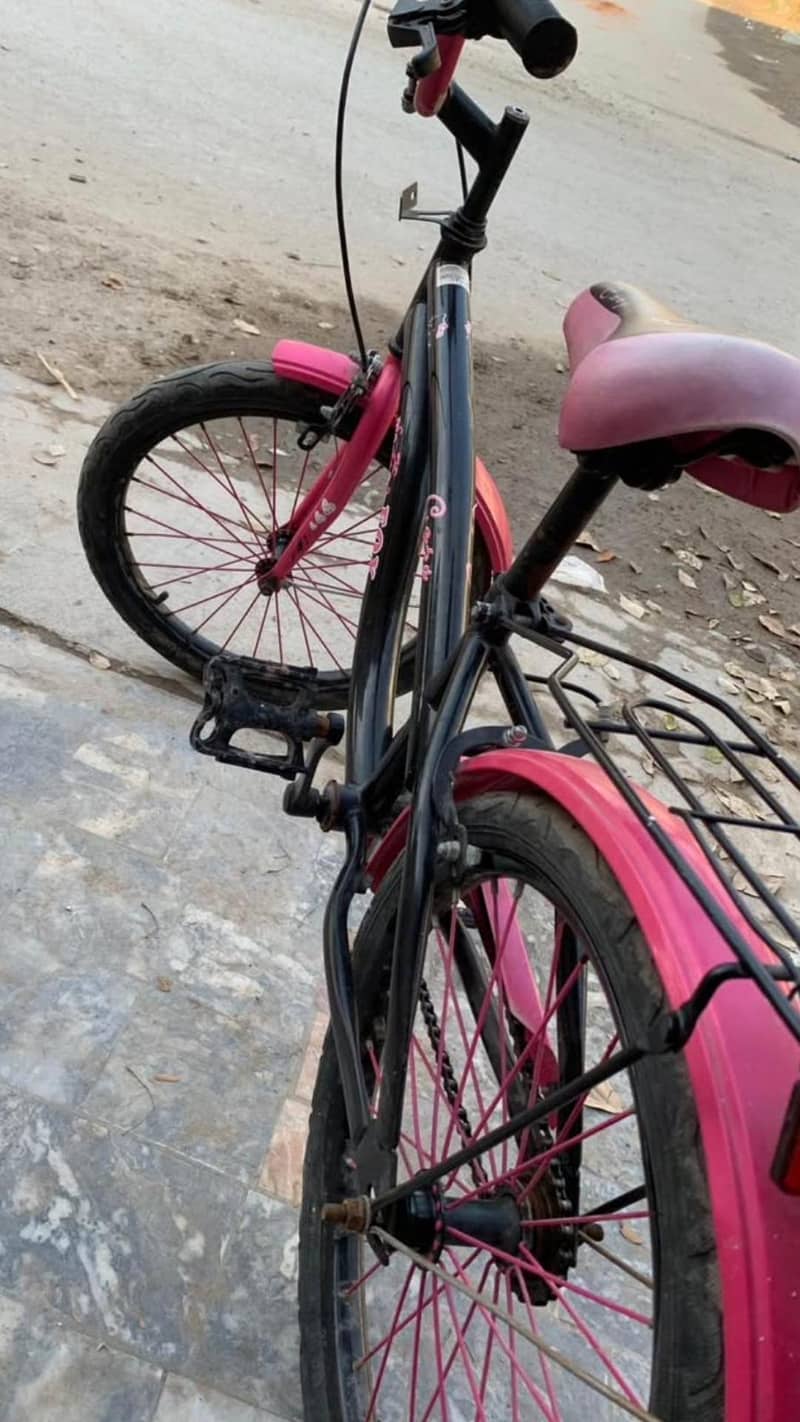 Cycle 4