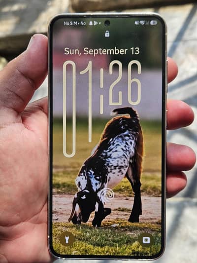 Samsung Mobile S23