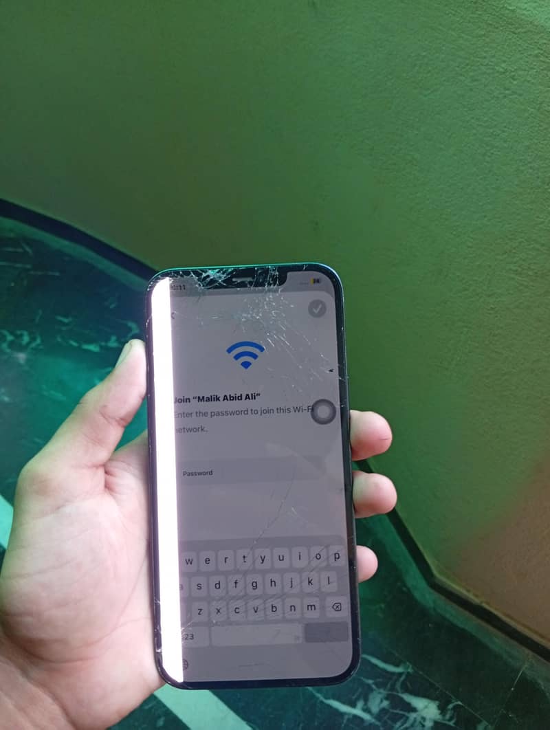 Apple iPhone 12 Pro Max 1