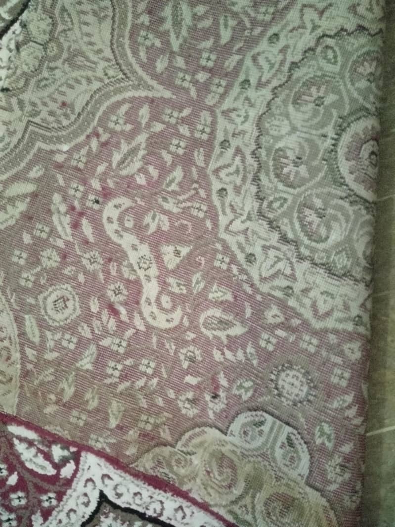 carpet 2