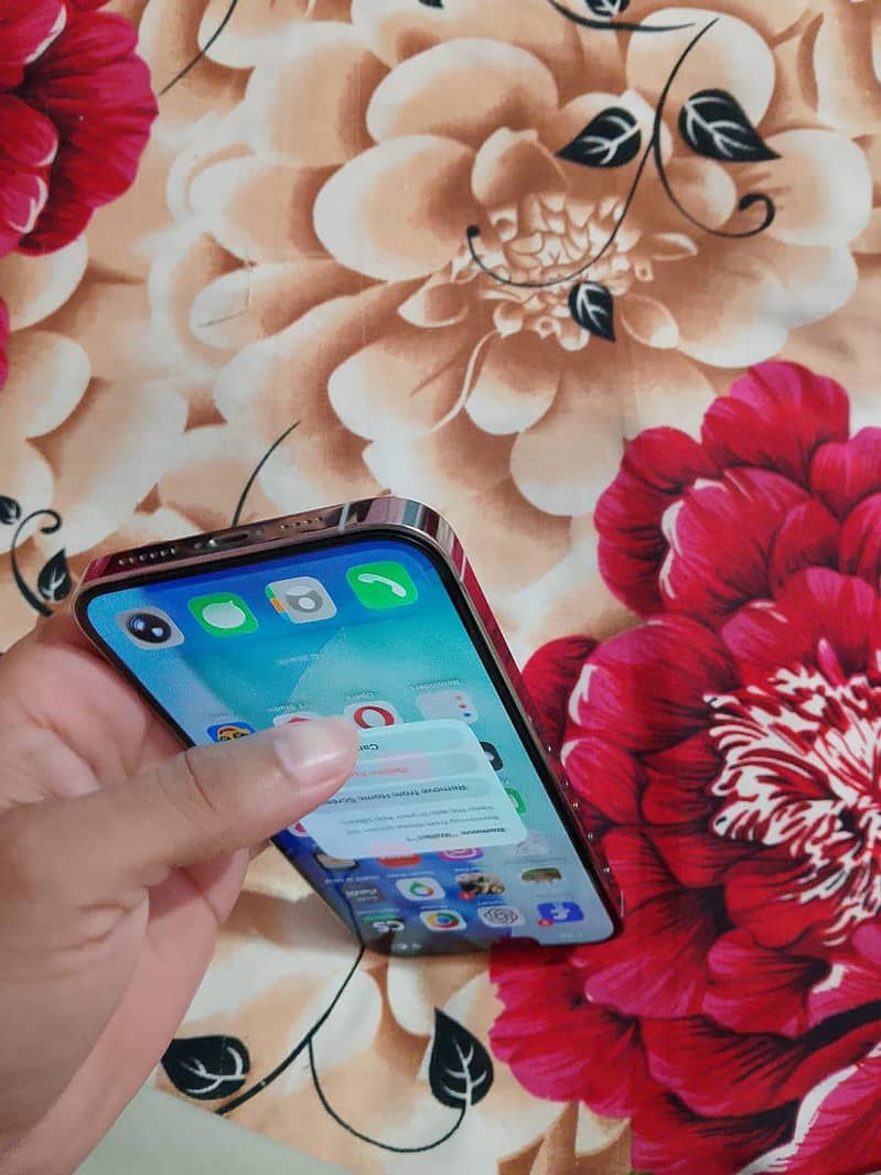Apple iPhone 13 Pro Max 1