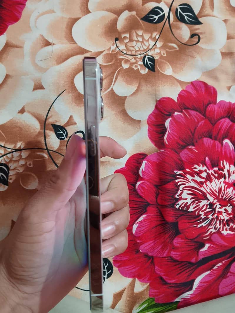 Apple iPhone 13 Pro Max 3
