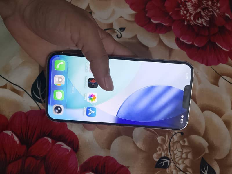 Apple iPhone 13 Pro Max 5