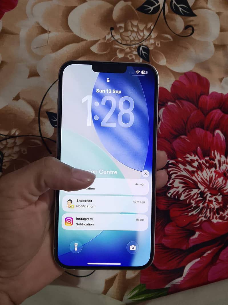 Apple iPhone 13 Pro Max 9