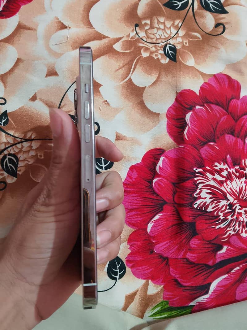 Apple iPhone 13 Pro Max 10