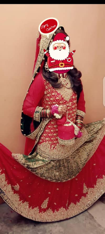 bridal Sharara+ macsi