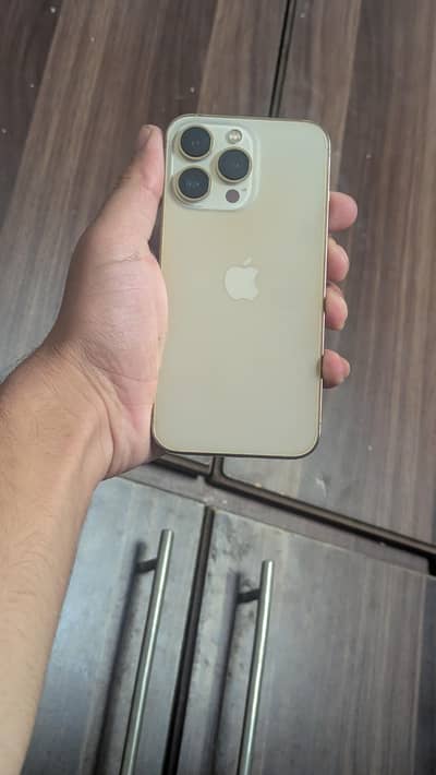 Apple iPhone 13 Pro