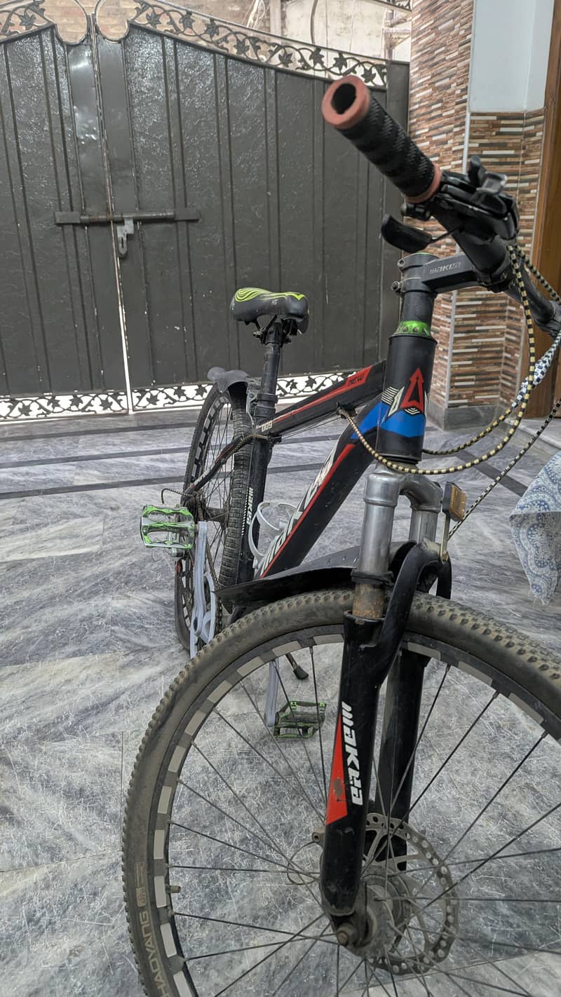 bicycle 2